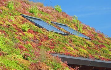 Ford End living roof systems